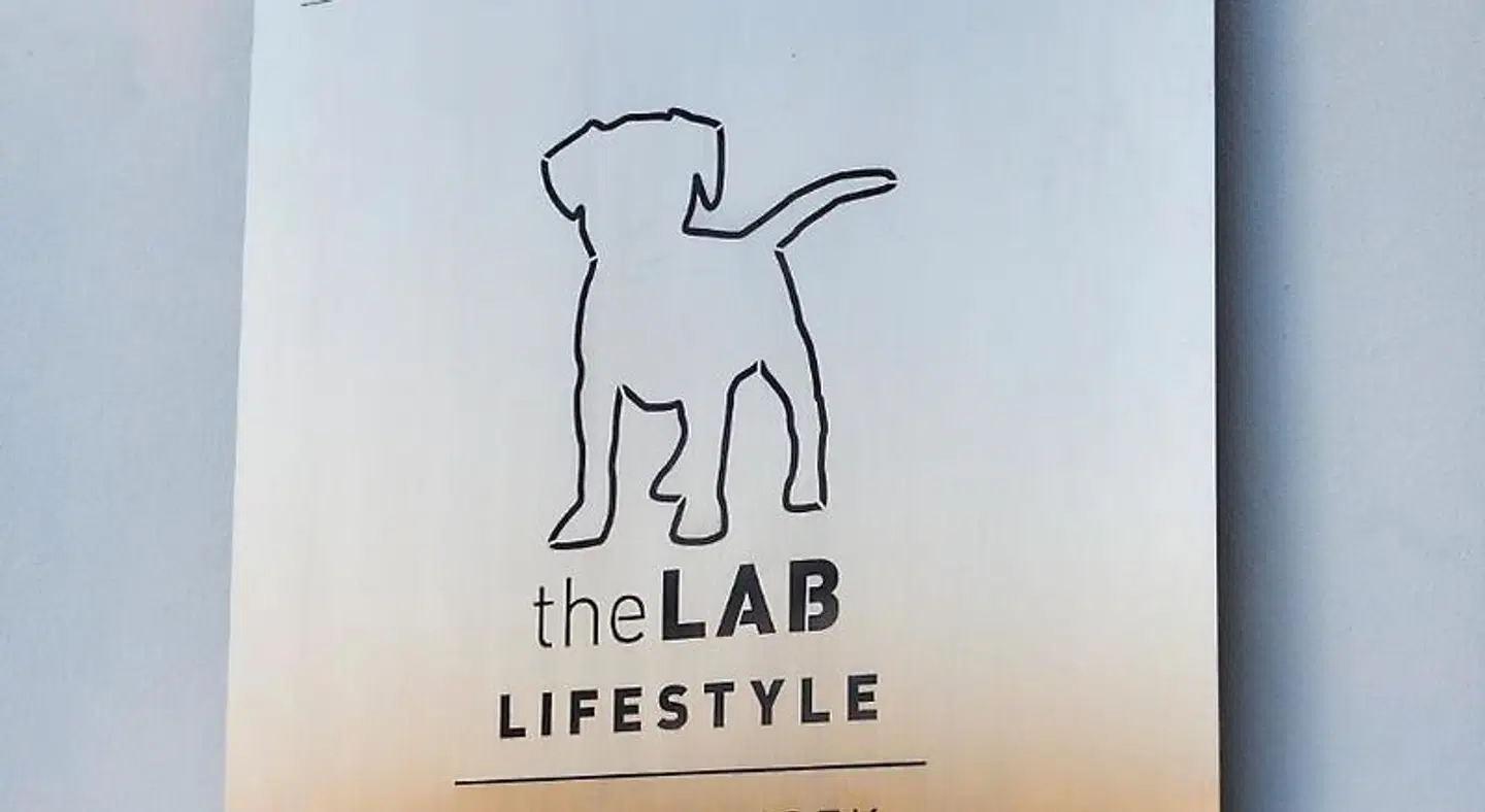theLAB Franschhoek Tiere