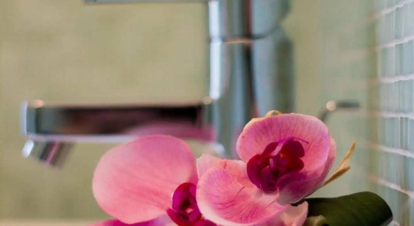 Siena HEALTH_BEAUTY