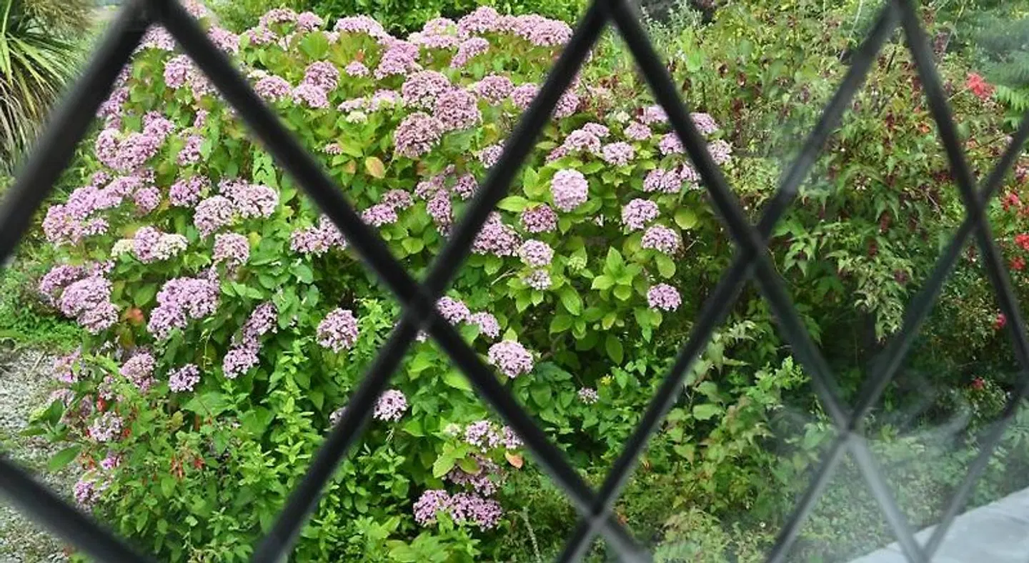 Halwell Lodge Garten