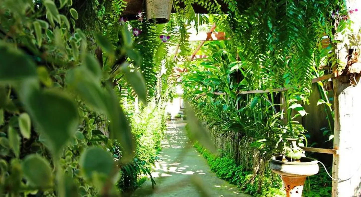 Shewe Wana Suite Resort LANDSCAPE