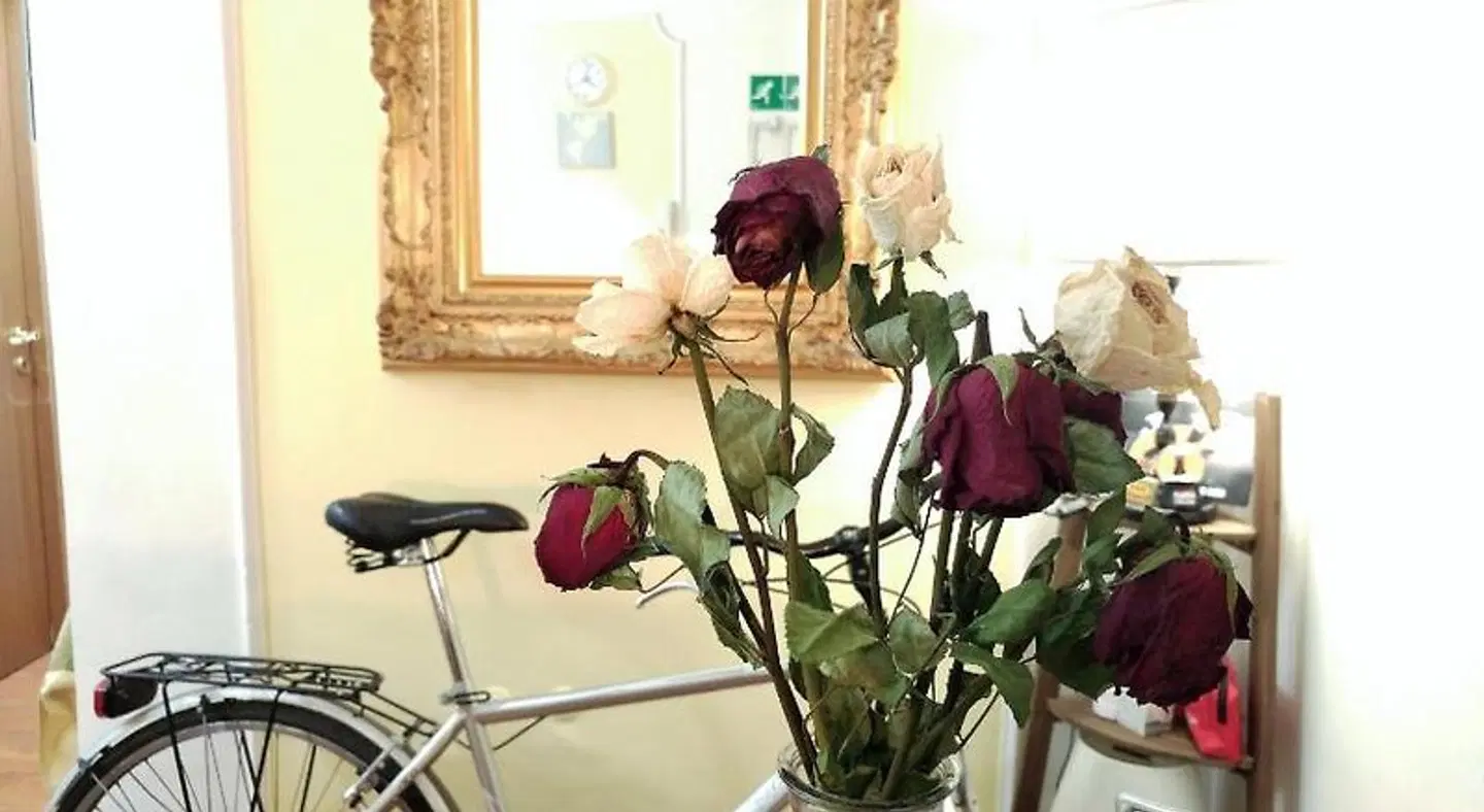 Dreaming Navona Rooms ROOM_EXAMPLE