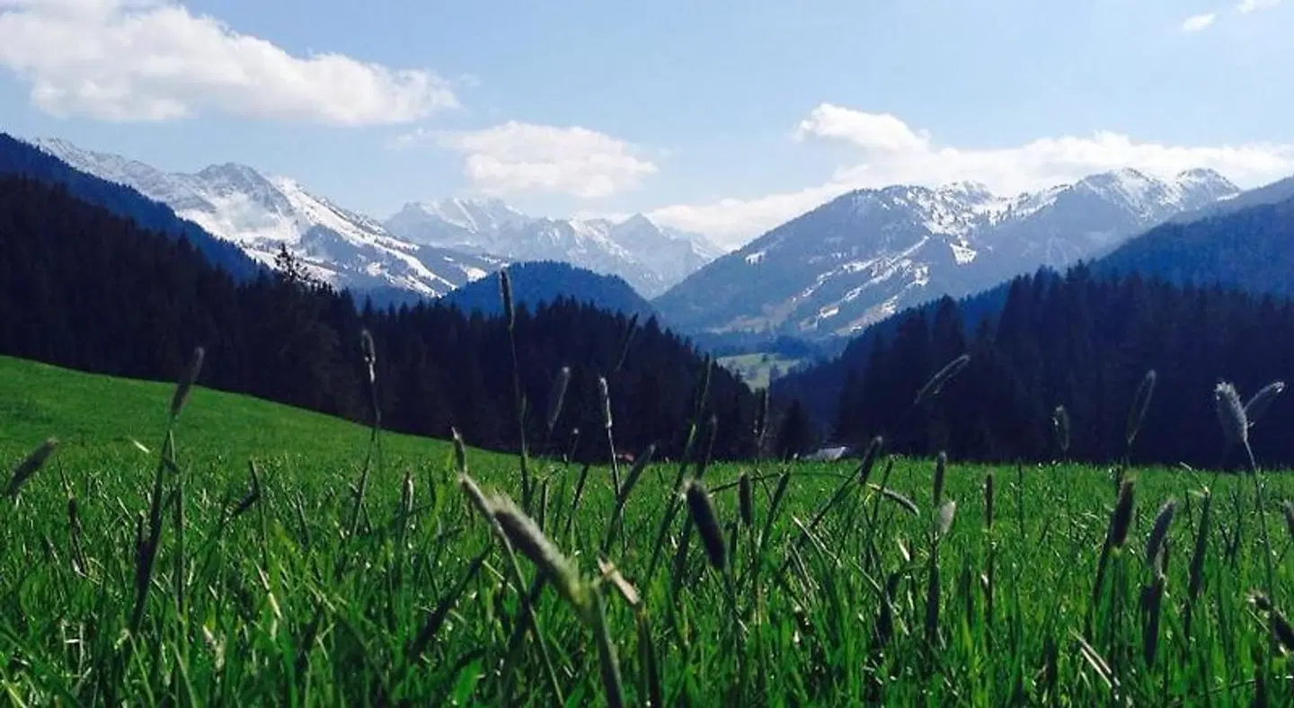 Bergquell Tirol LANDSCAPE