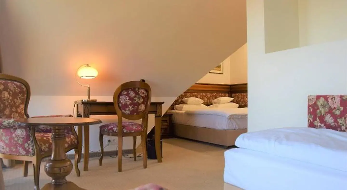 Hotel Paryski Art & Business ROOM_EXAMPLE