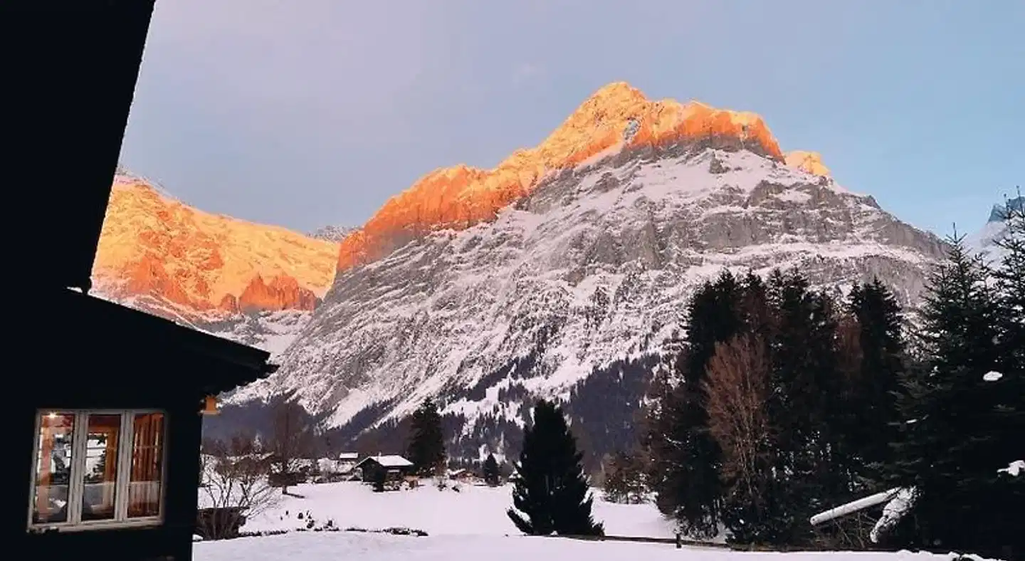 Hostel Naturfreundehaus Tiere