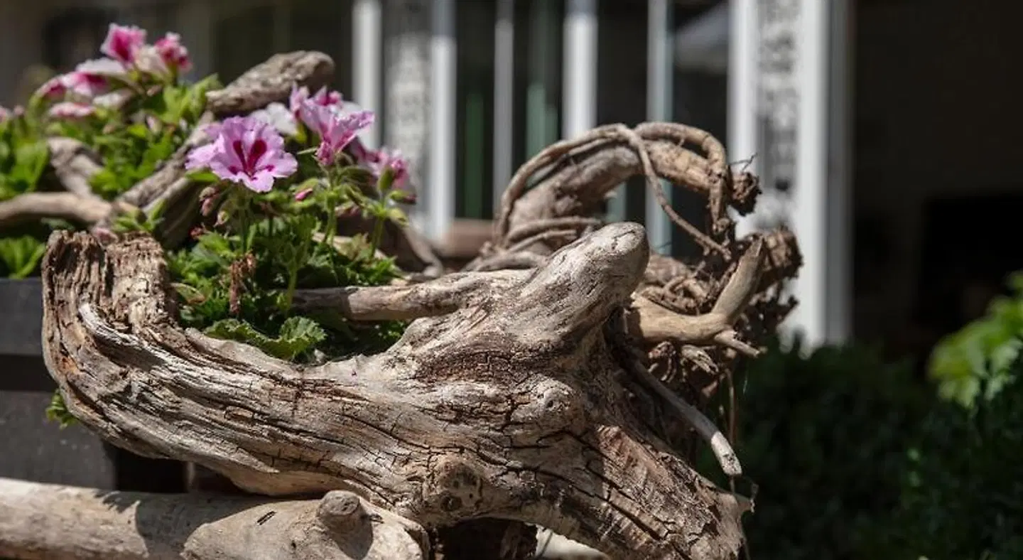 Boutique B&B de PASTORY Tiere