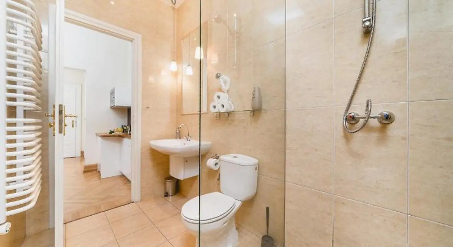 Apartamenty w Pa'acu Pod Baranami Badezimmer