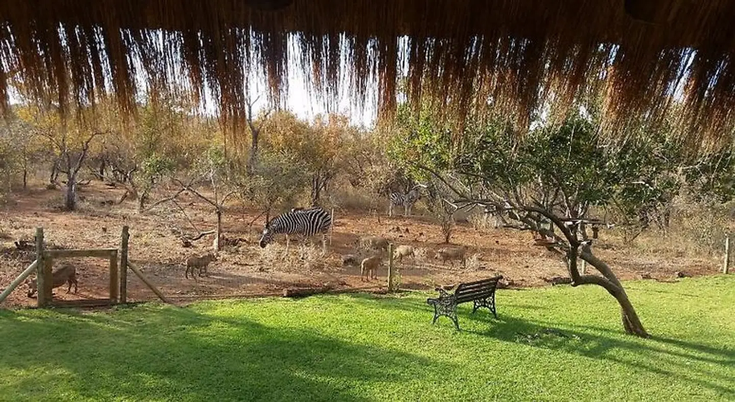 Call of the Wild Lodge Tiere