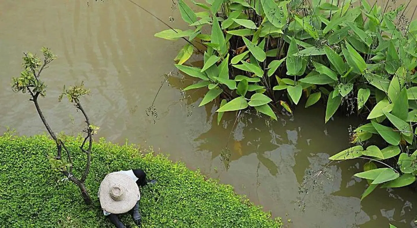 Le Méridien Chiang Rai Garten