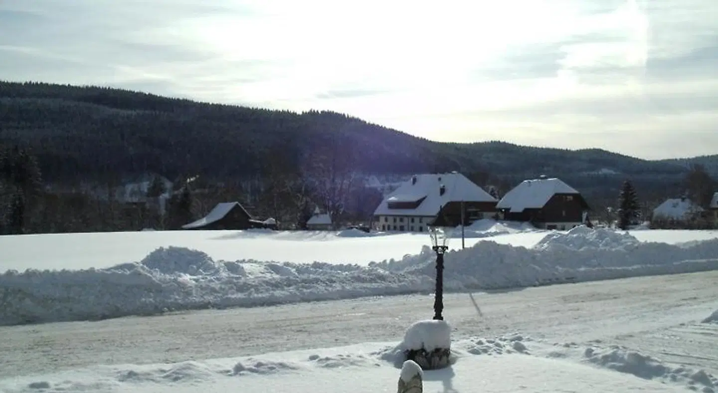 Hotel Rheingold Garni Tiere