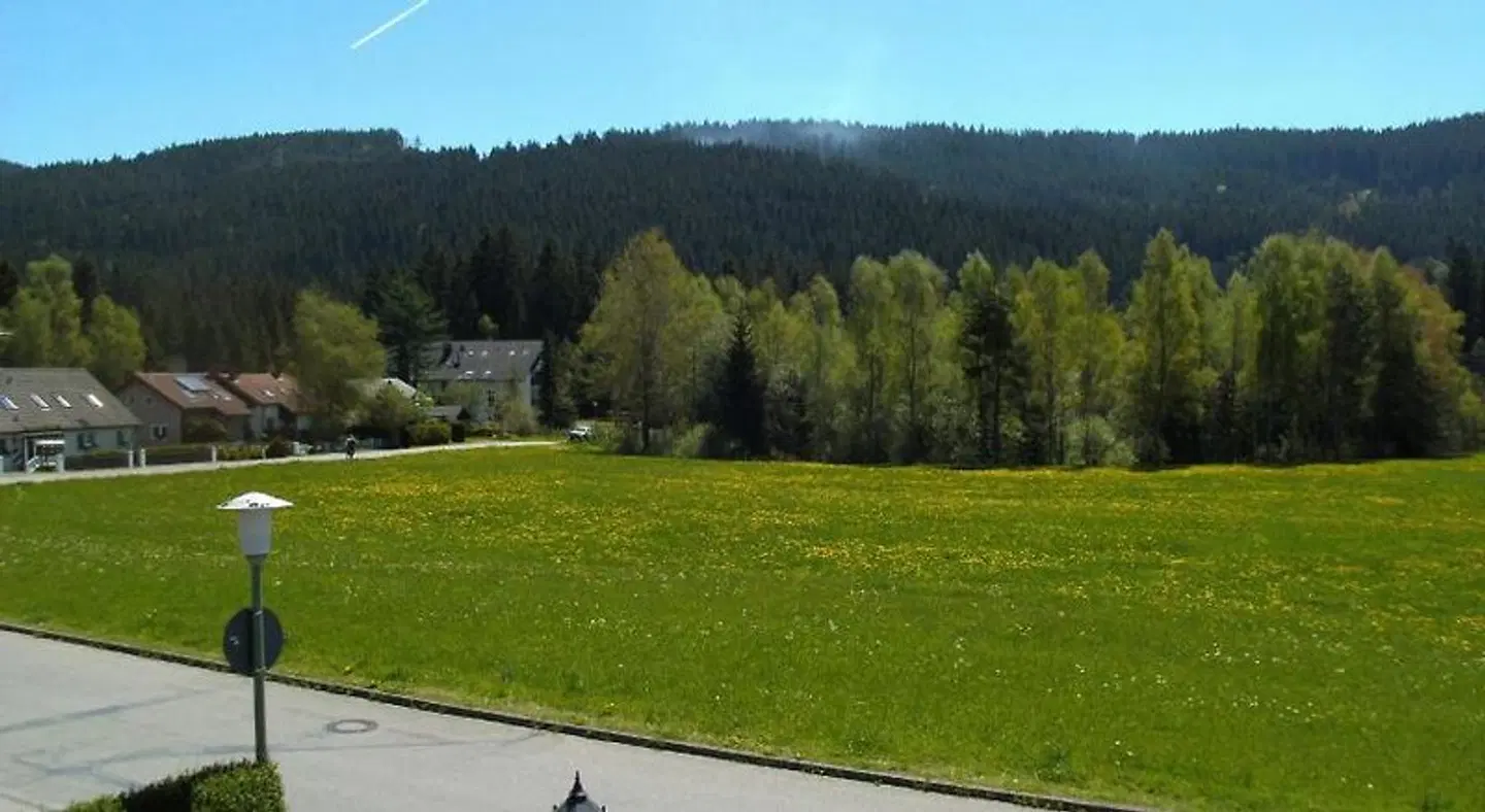 Hotel Rheingold Garni LANDSCAPE