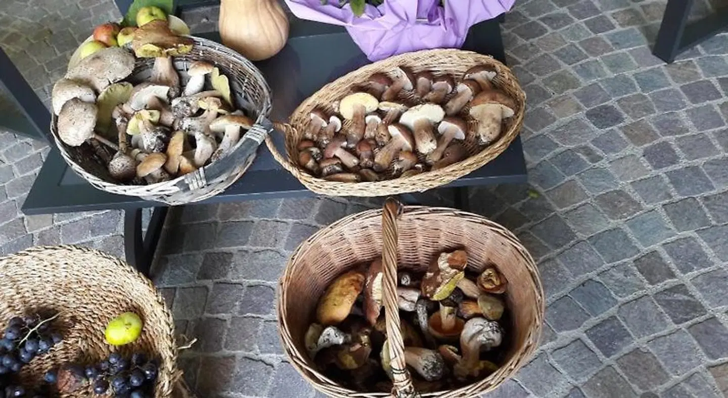 Maso Tobel Riva del Garda Tiere