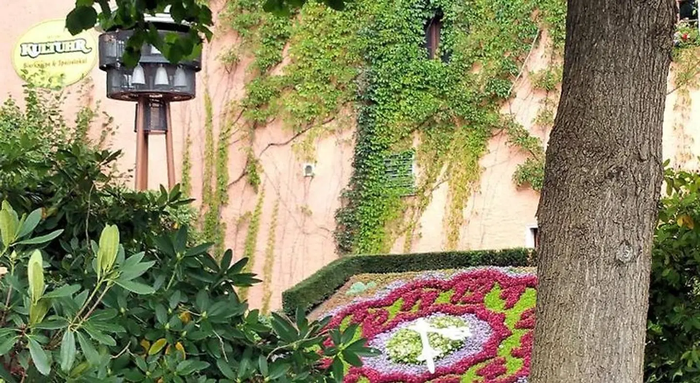 Schwarzer Bär Garten