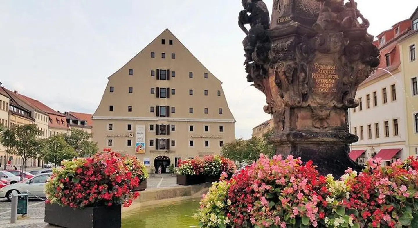 Schwarzer Bär EXTERIOR