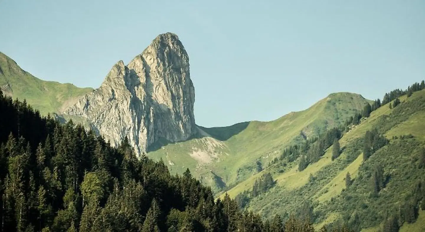 Edelweiß LANDSCAPE