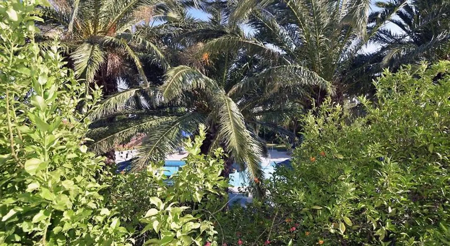 Anna Studios LANDSCAPE