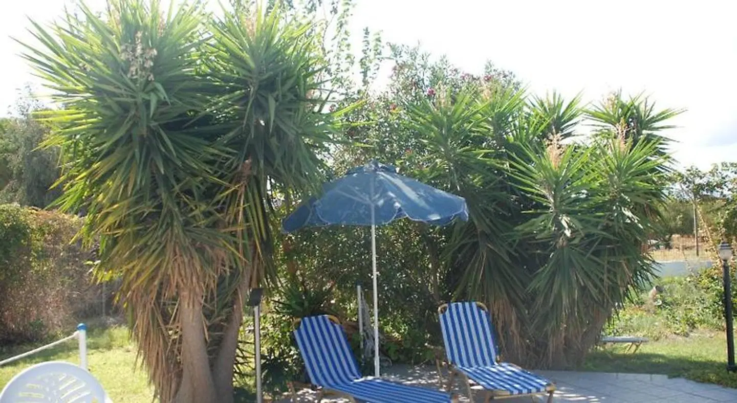 Anna Studios Garten