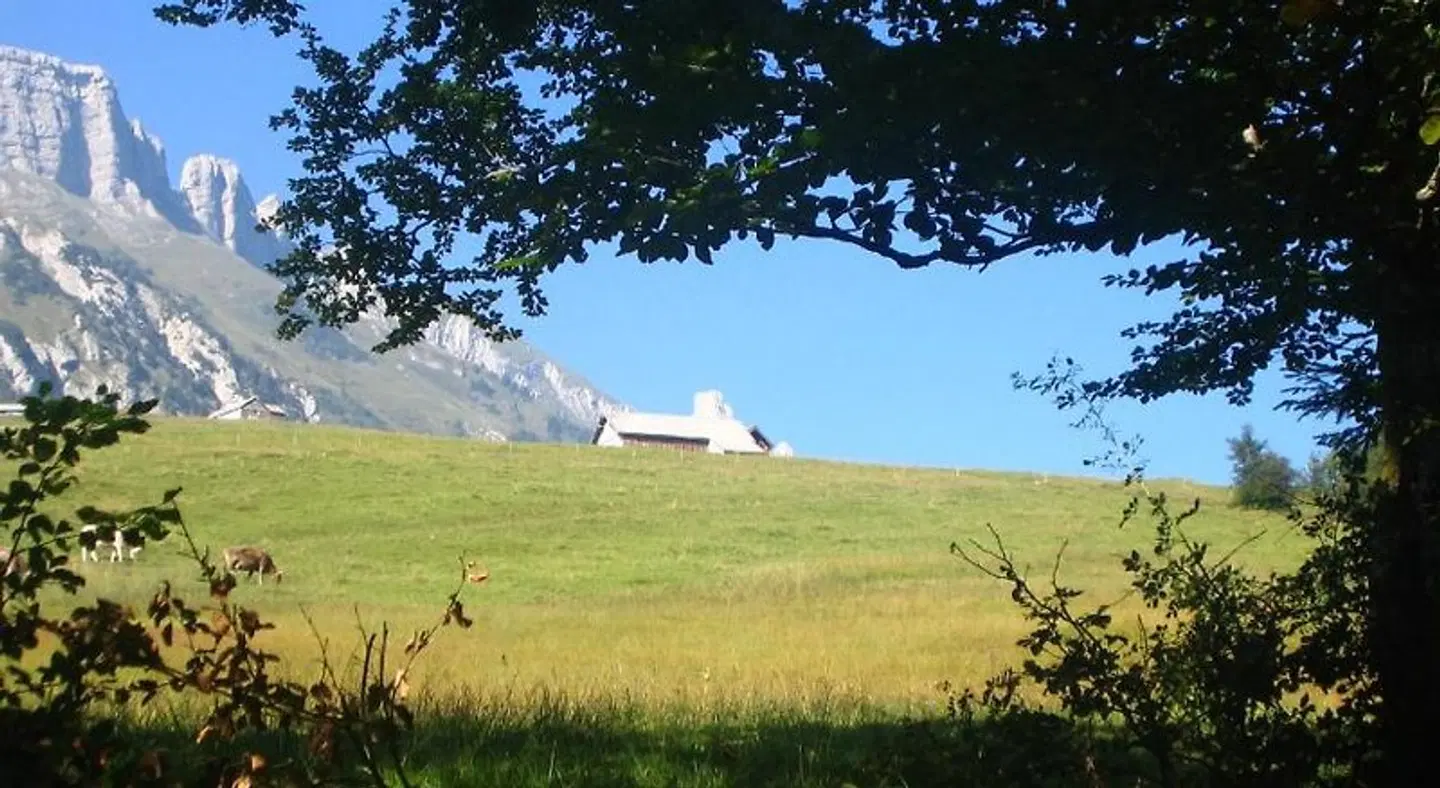 Zimmer & z'Morga Schönenboden LANDSCAPE