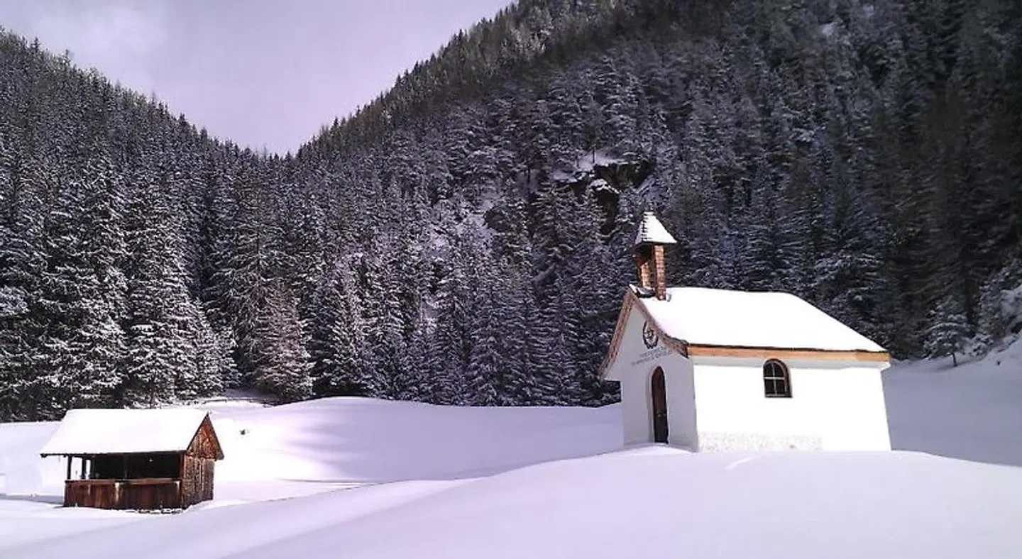 Gasthof Stuibenfall Tiere