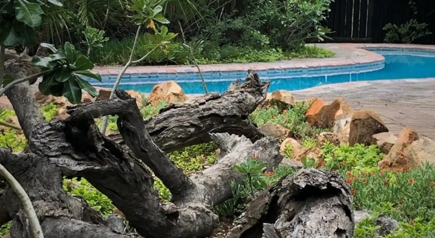 Kambaku Safari Lodge OUTDOOR_POOL