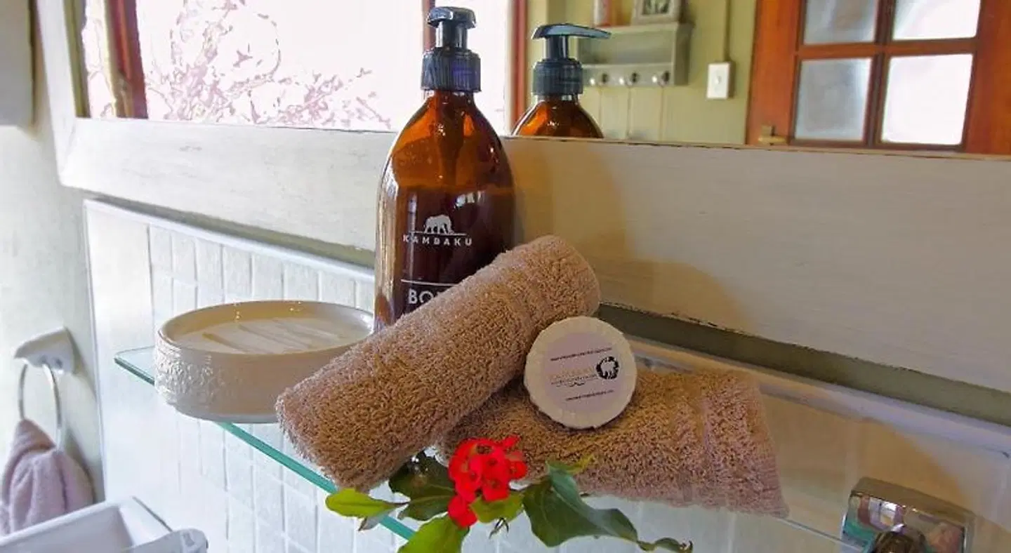 Kambaku Safari Lodge ROOM_EXAMPLE