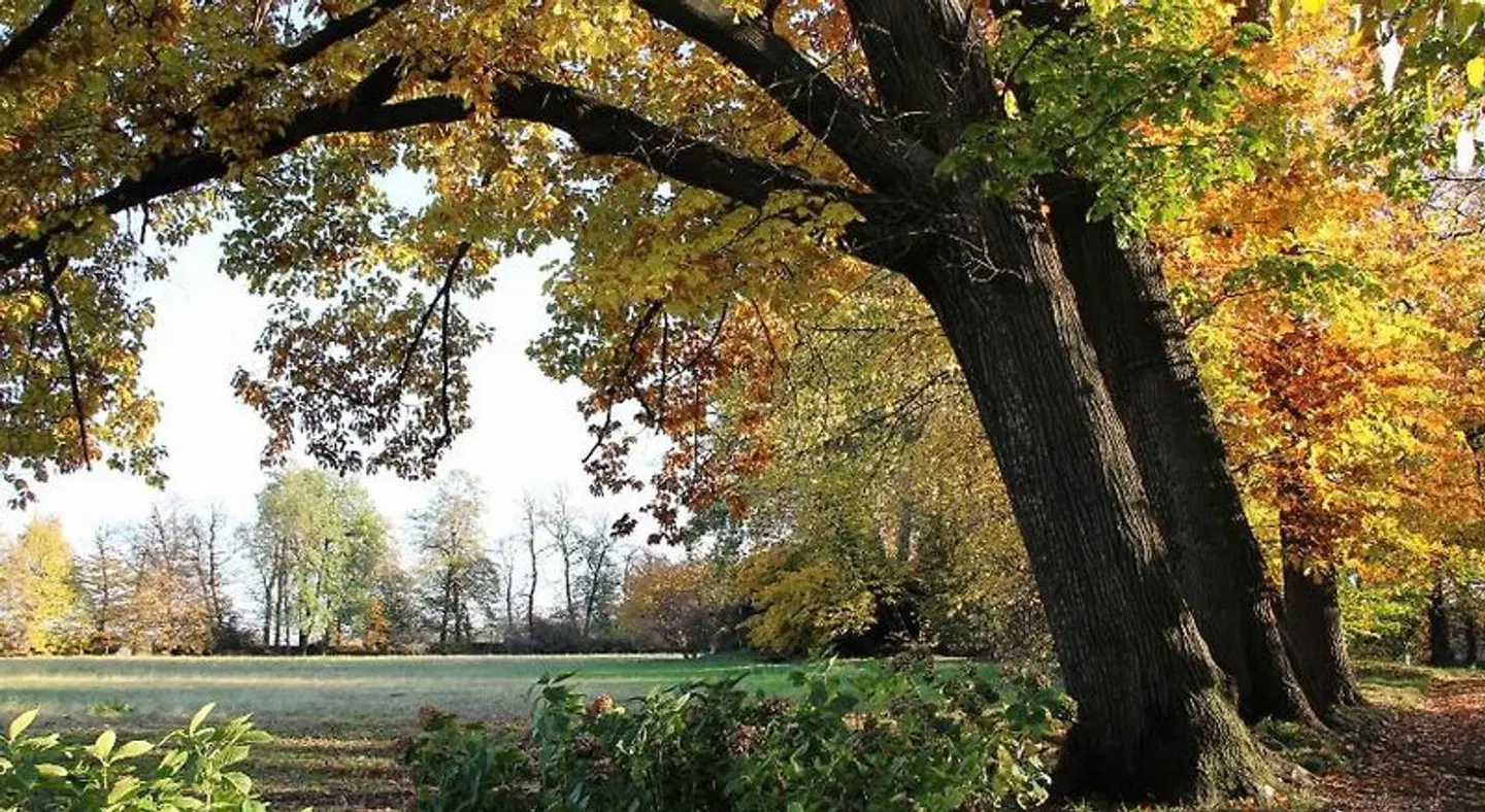 Villa Doria il Torrione LANDSCAPE