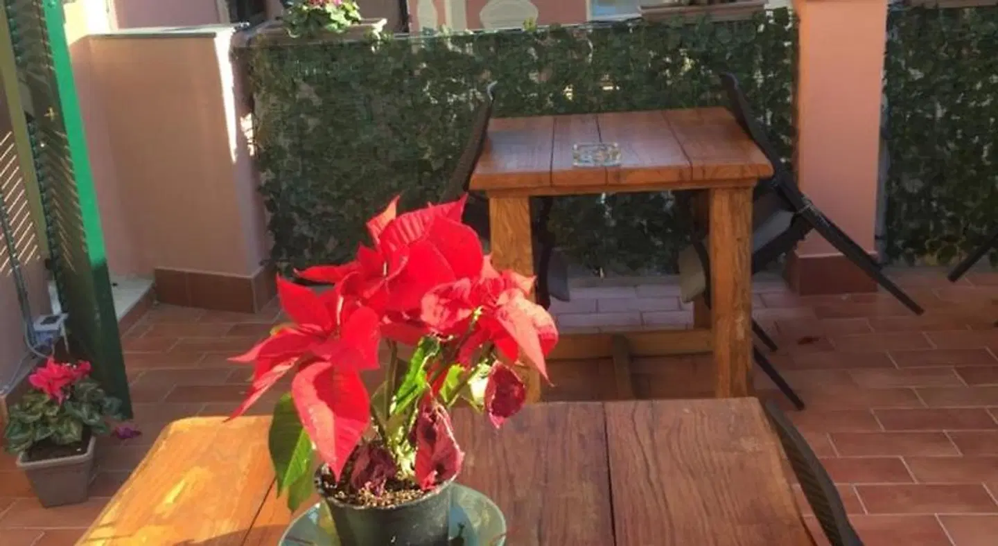 B&B La Terrazza EXTERIOR