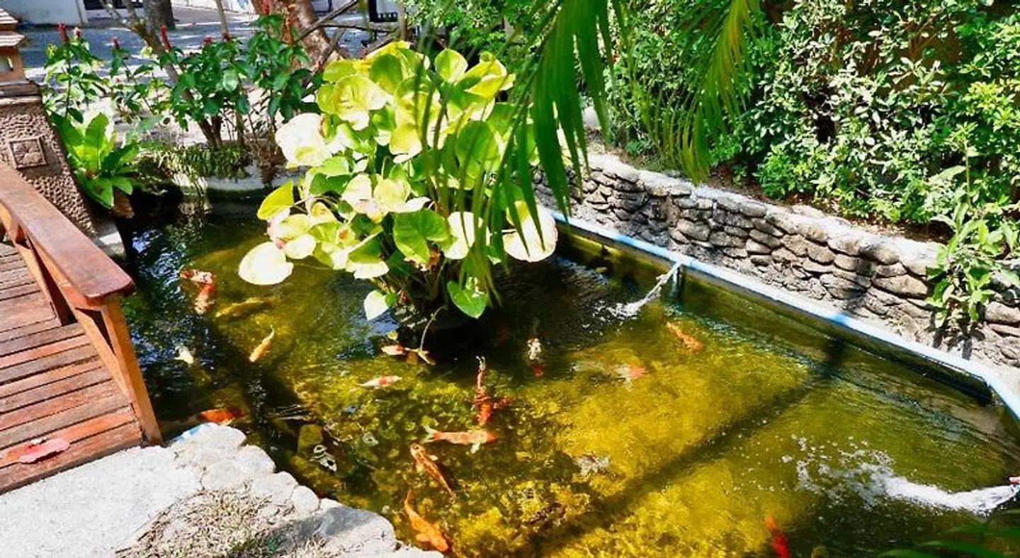Garden Resort Tiere