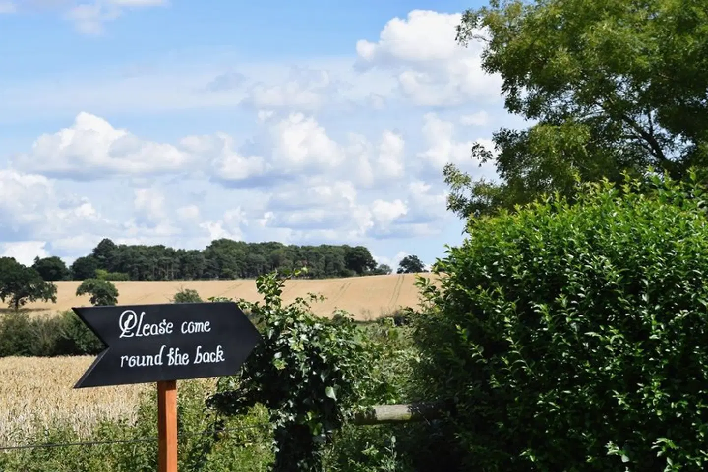 Downham Hall LANDSCAPE