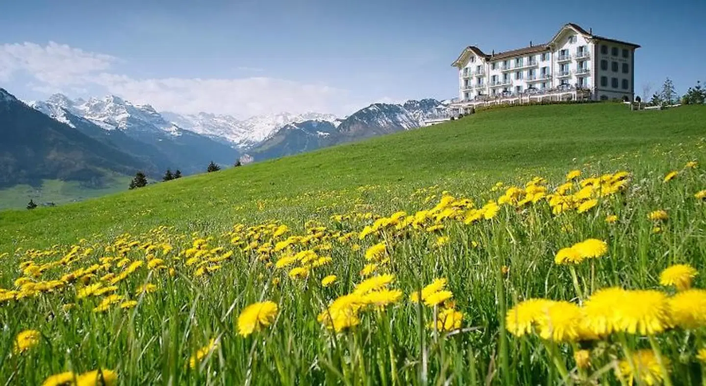 Villa Honegg LANDSCAPE