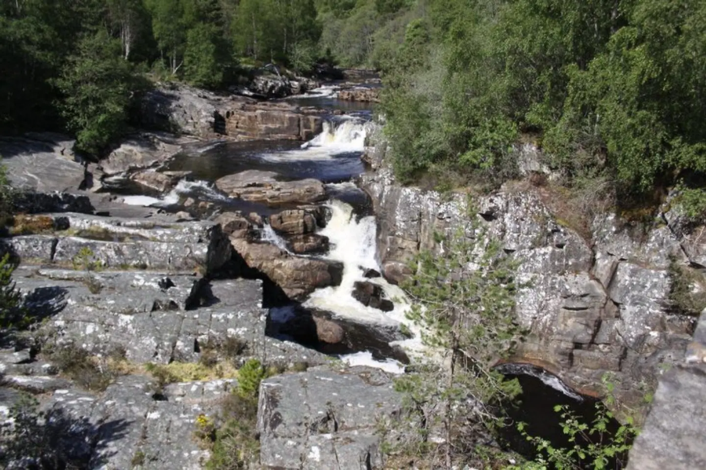 Silverbridge Lodge LANDSCAPE