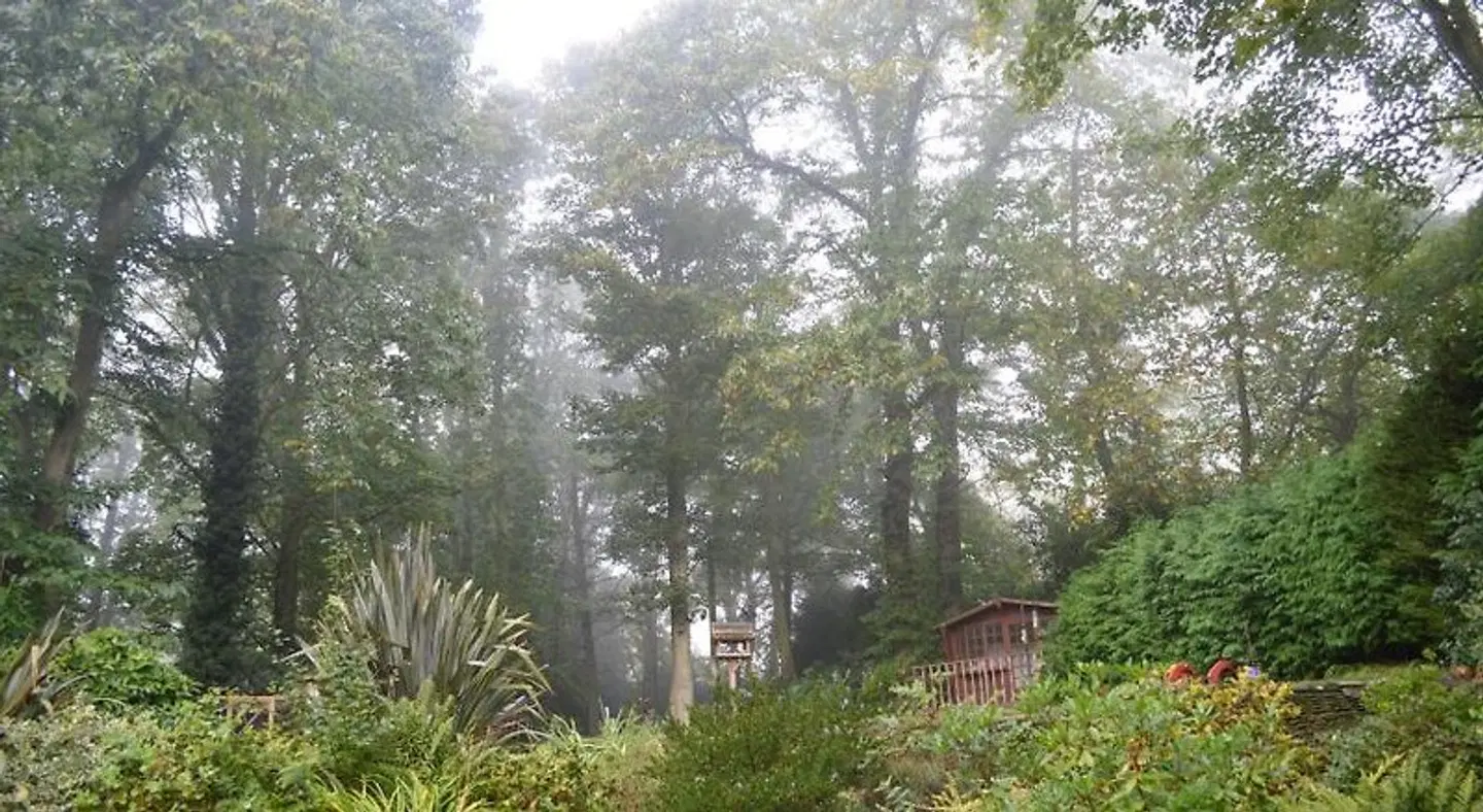 Thornybank LANDSCAPE