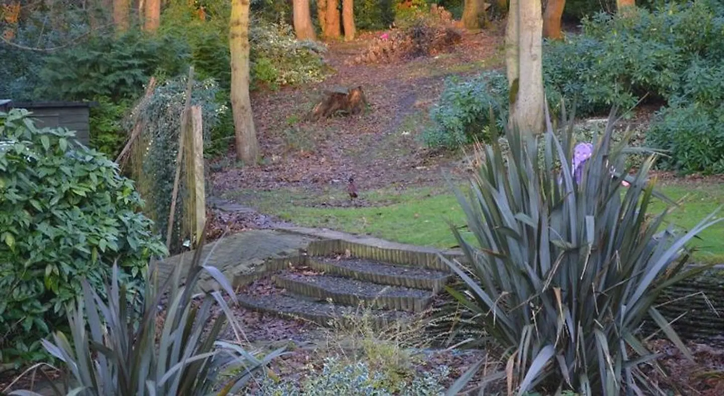 Thornybank Garten