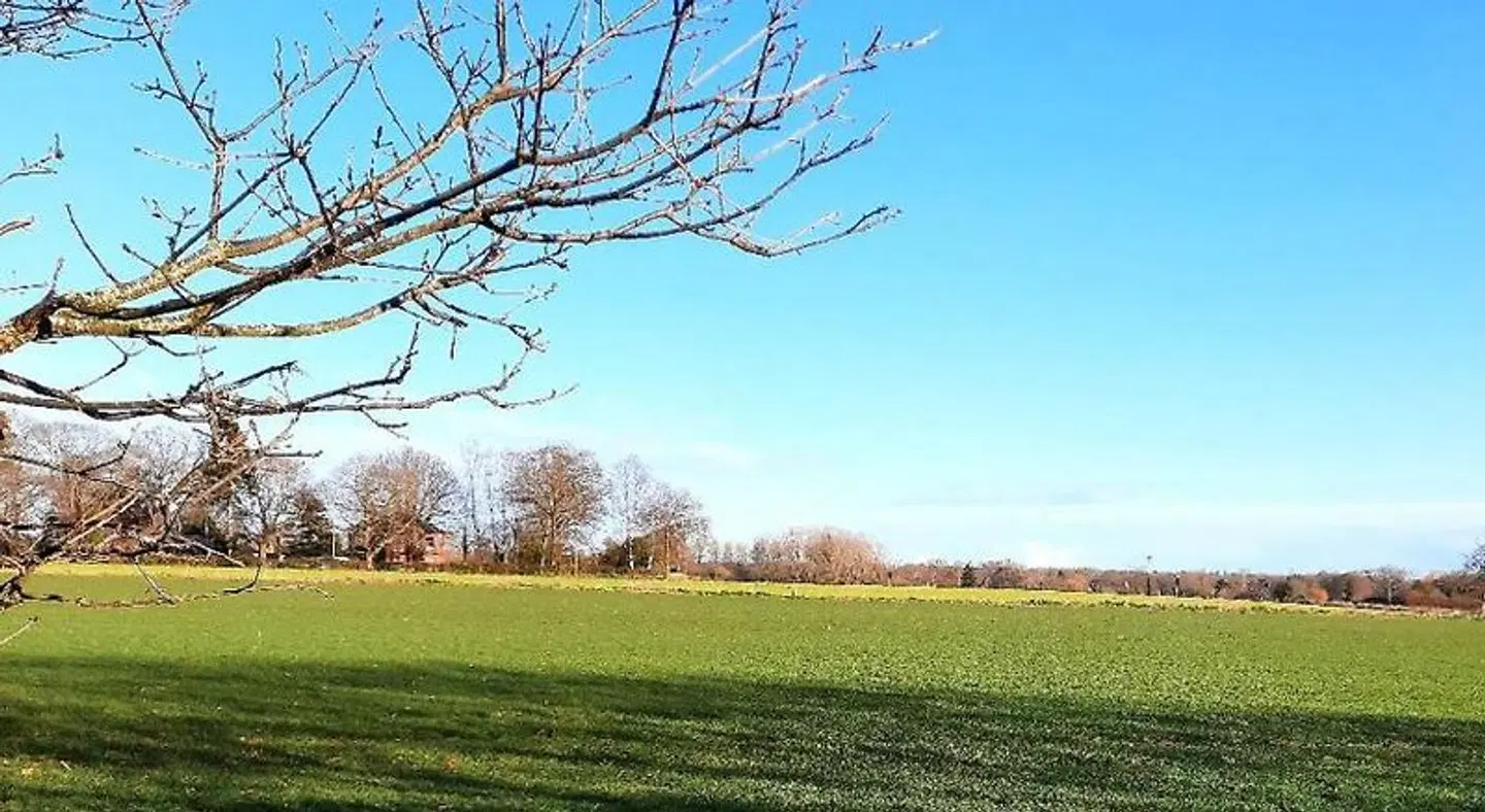 Regency Guest House LANDSCAPE