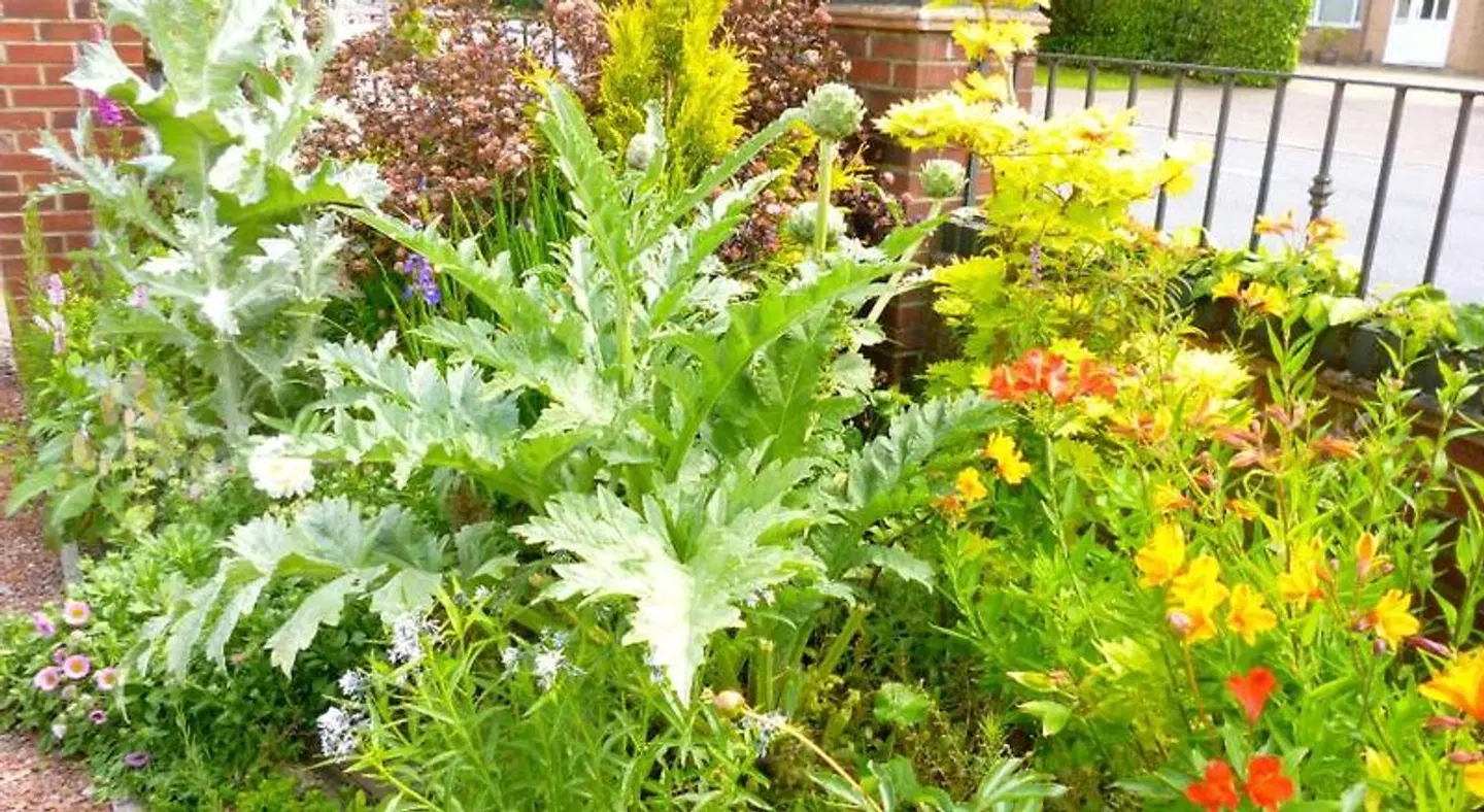 Copperfields Guesthouse Garten