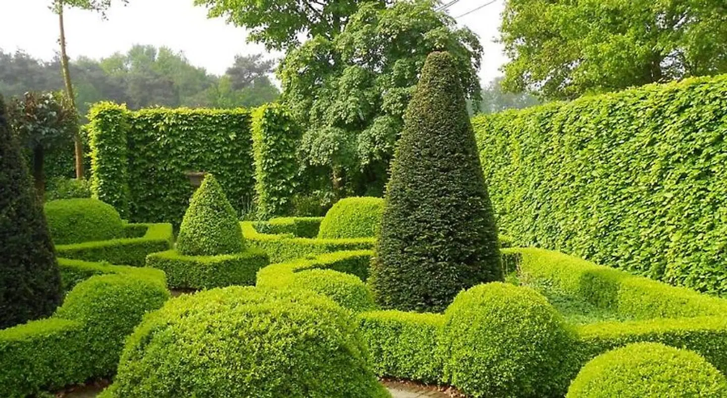 B&B Tuin der Zinnen Garten