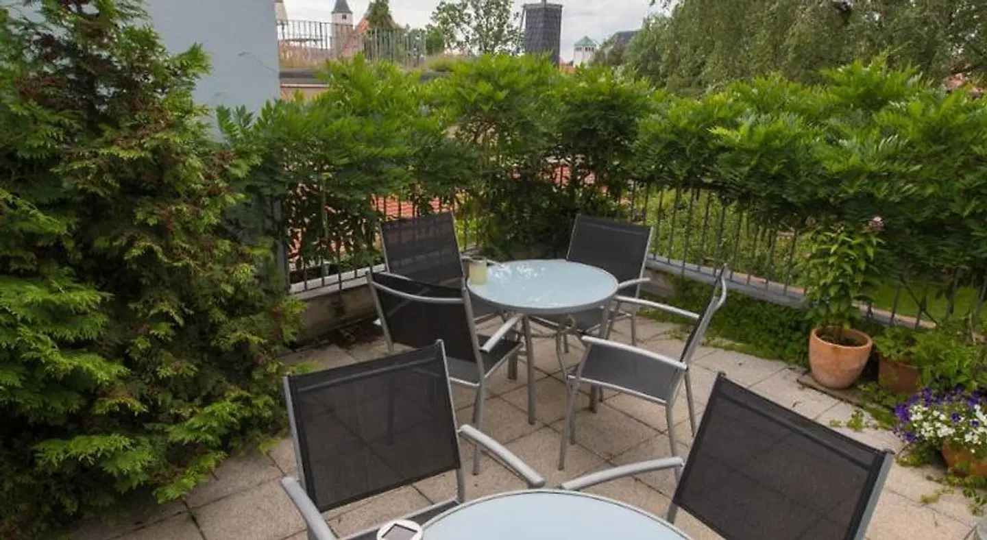 Blaue Blume Terrasse