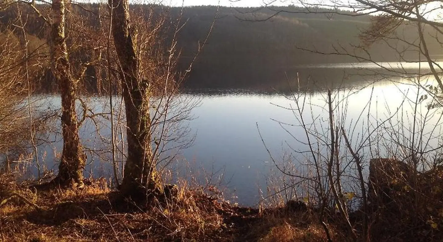 Lochview Guesthouse LANDSCAPE