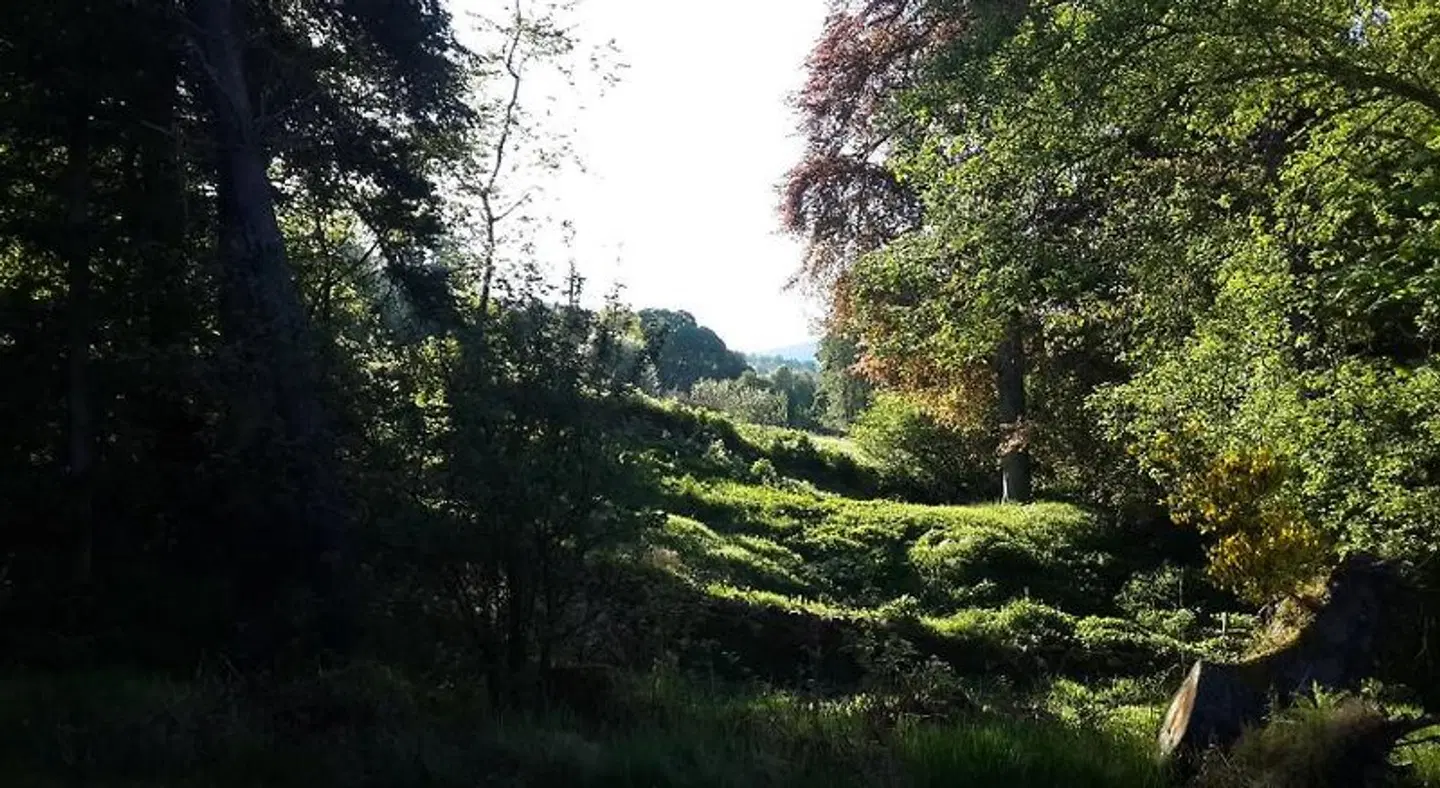 High March LANDSCAPE