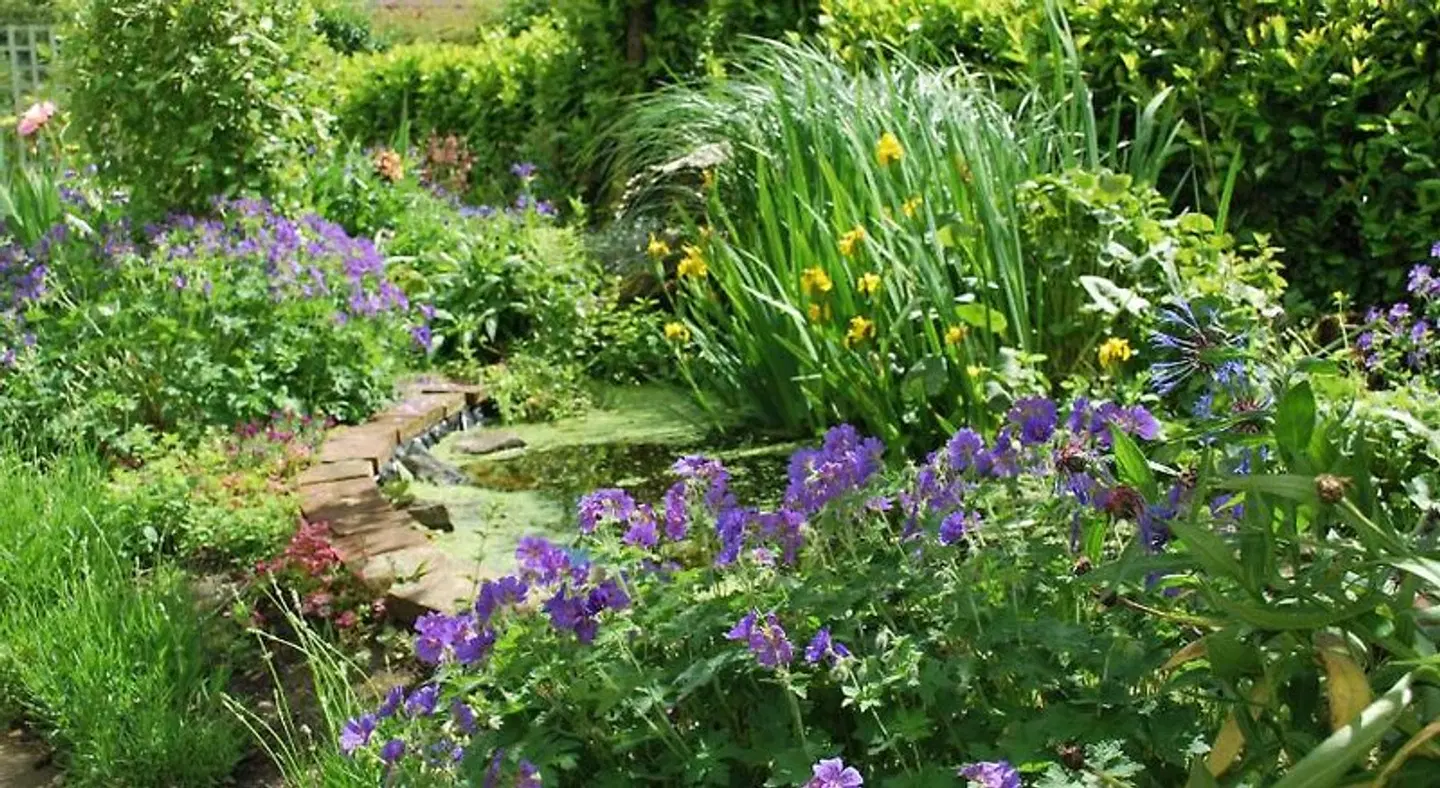 Hillcroft Luxury Bed & Breakfast Garten