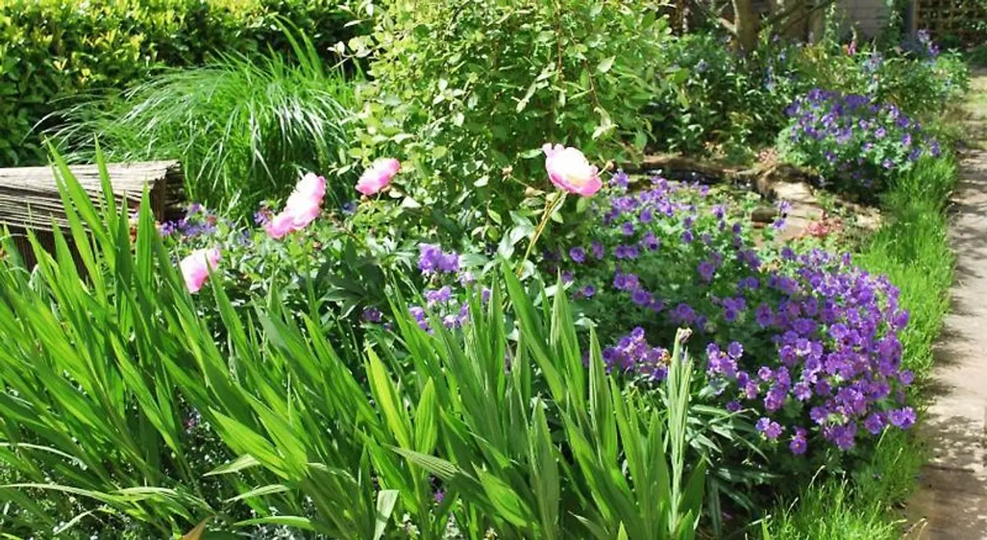Hillcroft Luxury Bed & Breakfast Garten