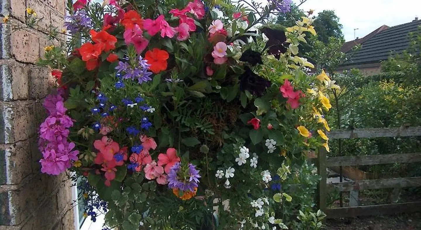 Hillcroft Luxury Bed & Breakfast Garten