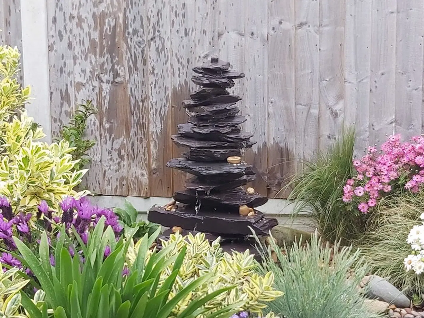 Viva Guest House LANDSCAPE