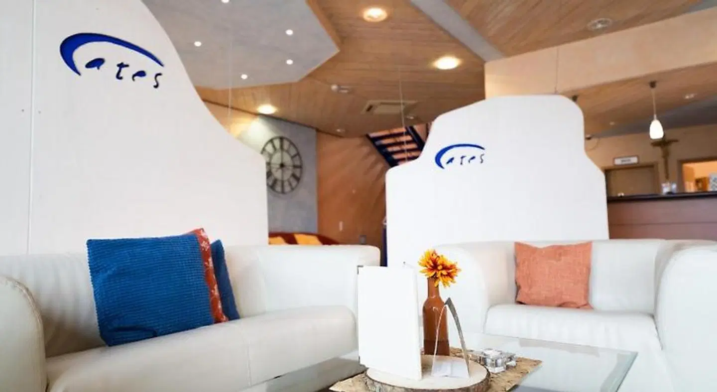Ates Hotel LOUNGE_LOBBY