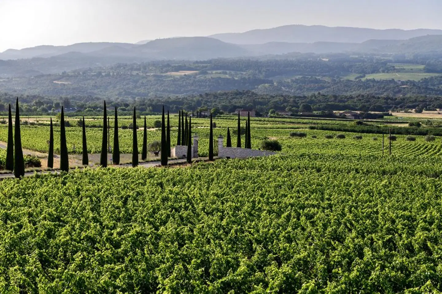 Coquillade Provence LANDSCAPE