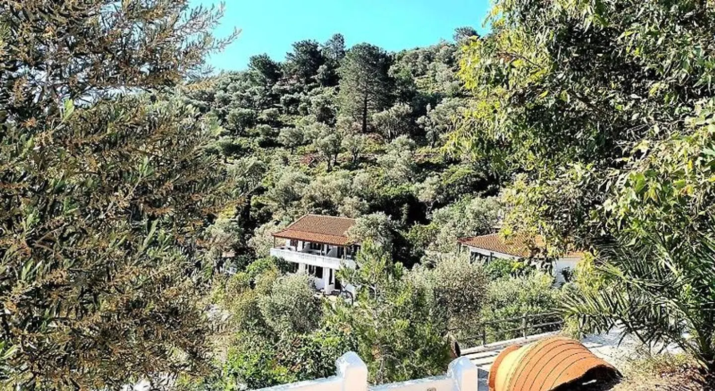 Studios Limnionas LANDSCAPE