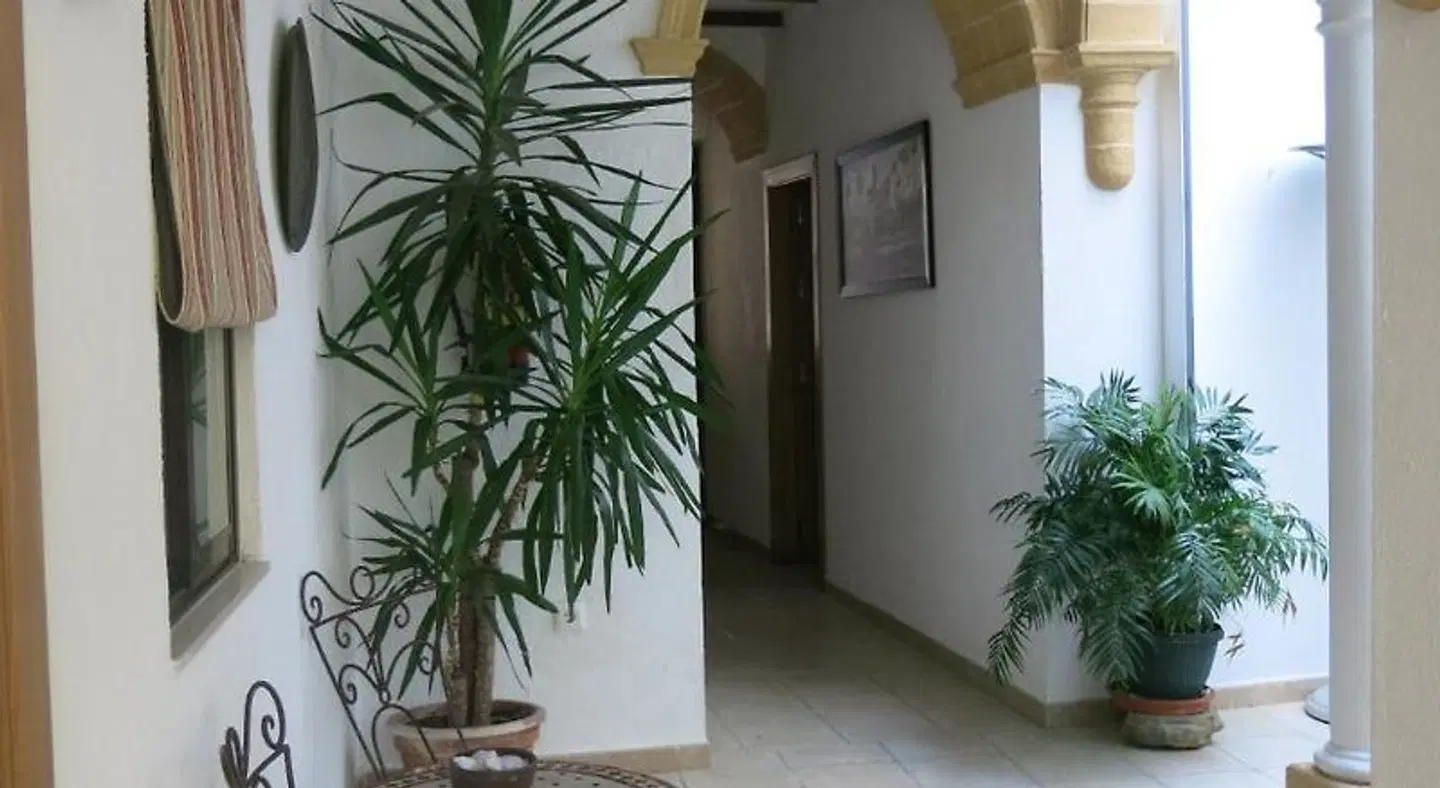 Hostal Fenix Terrasse