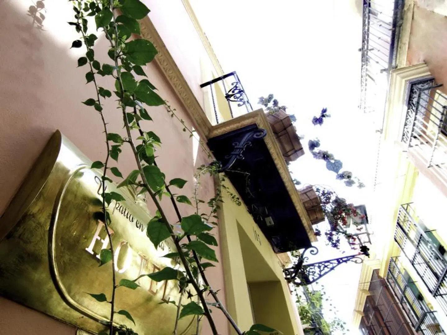 Un Patio en Santa Cruz EXTERIOR