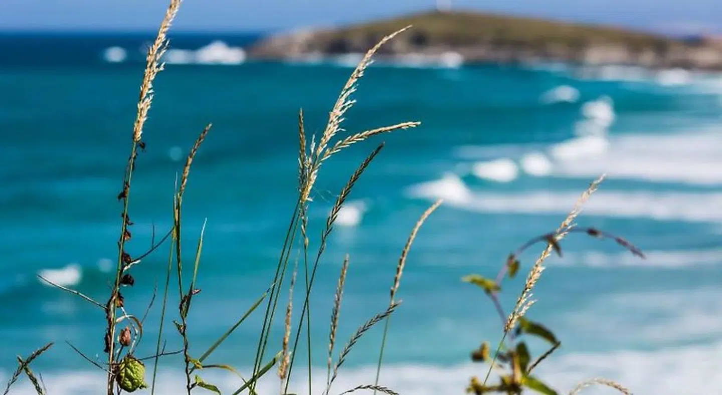 Oceanside Lifestyle Hotel LANDSCAPE