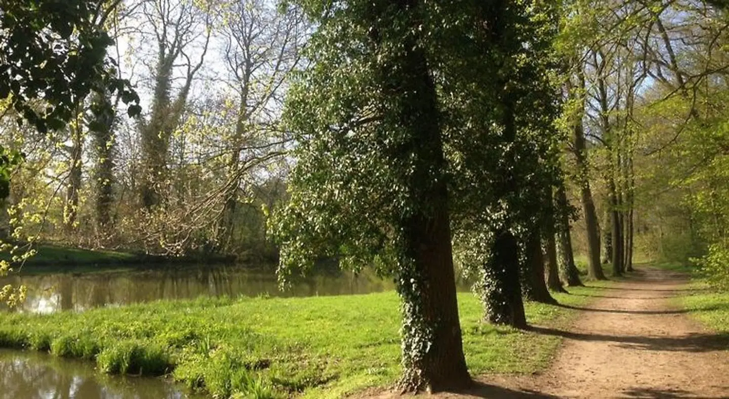 van Lendt LANDSCAPE