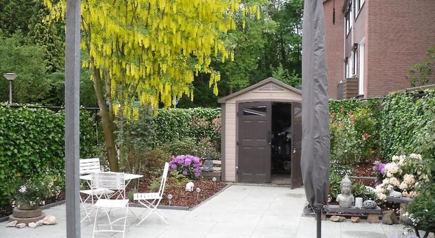Renes Garten